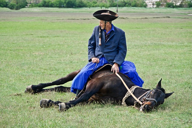 Proteste auf den straßen: Bürgerwille vs. Regierungskurs